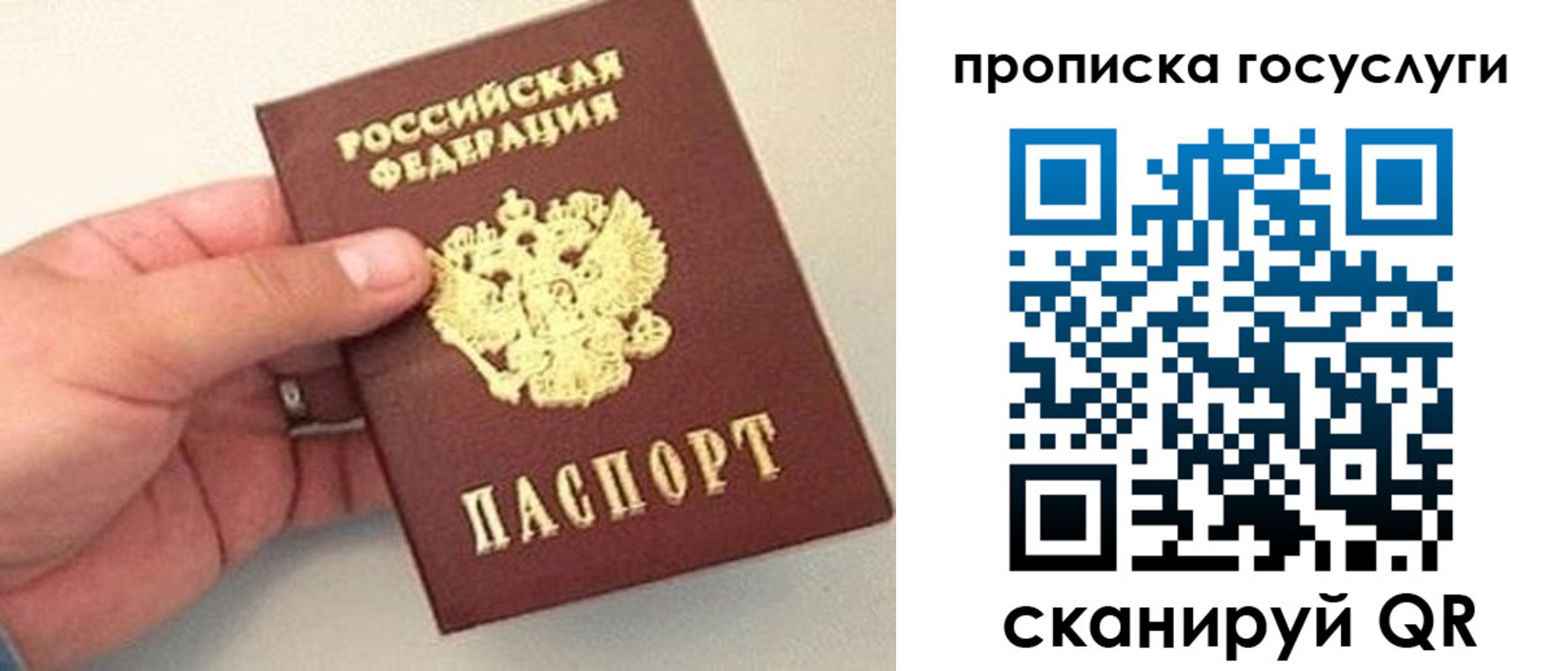 где прописаться в Рязанской области